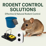 Rodent control