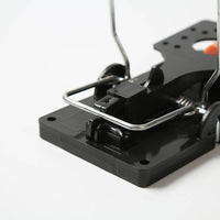 Heavy-duty classic snap mouse trap with wooden base and metal spring for quick rodent control