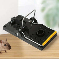 Heavy-duty classic snap mouse trap with wooden base and metal spring for quick rodent control