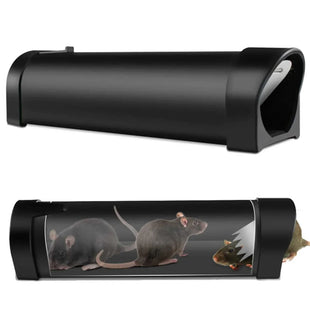 Humane Tunnel Mouse Trap – Safe Catch & Release Solution