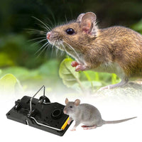 Heavy-duty classic snap mouse trap with wooden base and metal spring for quick rodent control